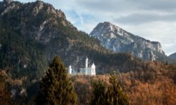Том Хэнкс и его грейхаунд: история дружбы
