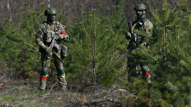 В Белоруссии заявили о 14 тысячах солдат ВСУ у своих границ